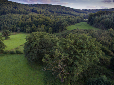 Landschaft_Aussicht_Wiedtal_10.jpg