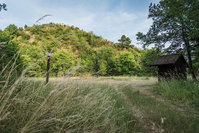 Landschaft_Aussicht_Wiedtal_101.jpg