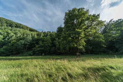 Landschaft_Aussicht_Wiedtal_111.jpg