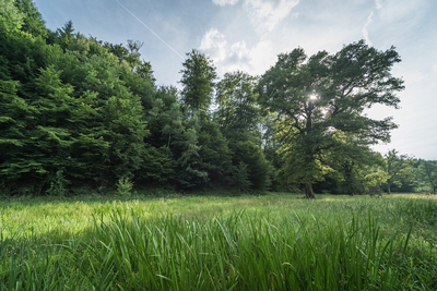 Landschaft_Aussicht_Wiedtal_113.jpg