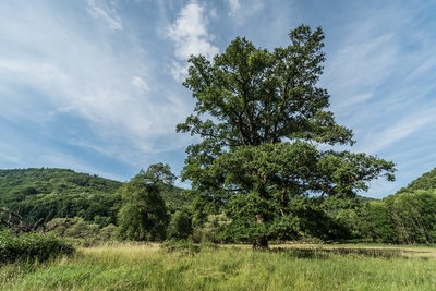 Landschaft_Aussicht_Wiedtal_115.jpg