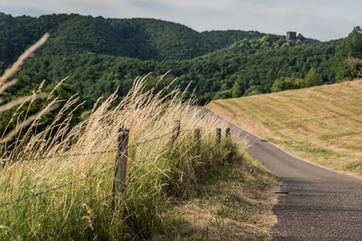 Landschaft_Aussicht_Wiedtal_119.jpg