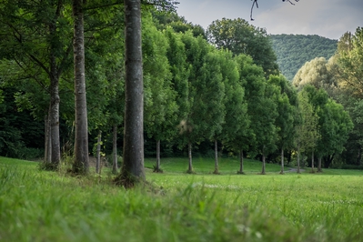 Landschaft_Aussicht_Wiedtal_122.jpg