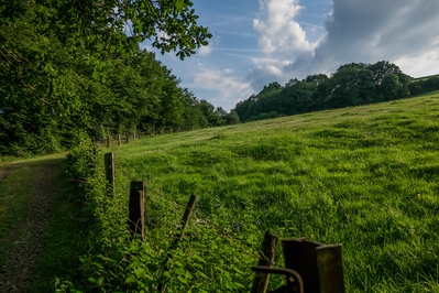 Landschaft_Aussicht_Wiedtal_123.jpg