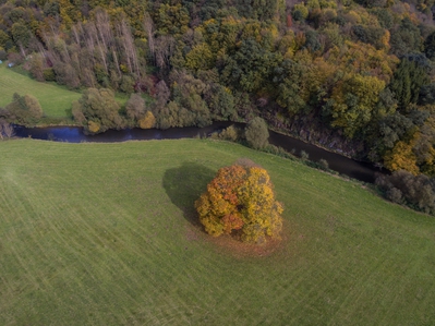 Landschaft_Aussicht_Wiedtal_14.jpg