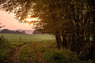 Landschaft_Aussicht_Wiedtal_15.jpg