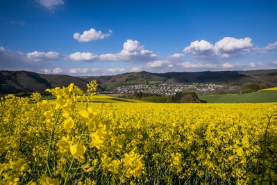 Landschaft_Aussicht_Wiedtal_52.jpg