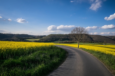 Landschaft_Aussicht_Wiedtal_53.jpg