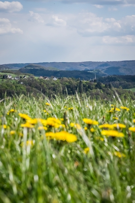 Landschaft_Aussicht_Wiedtal_56.jpg