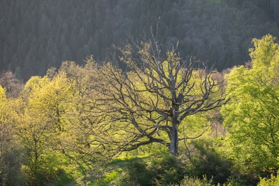 Landschaft_Aussicht_Wiedtal_63.jpg