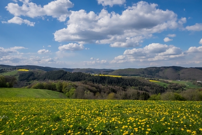 Landschaft_Aussicht_Wiedtal_7.jpg