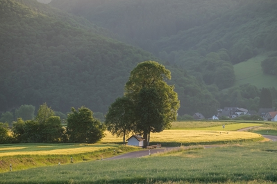 Landschaft_Aussicht_Wiedtal_79.jpg