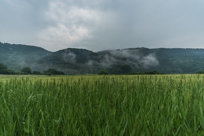 Landschaft_Aussicht_Wiedtal_87.jpg