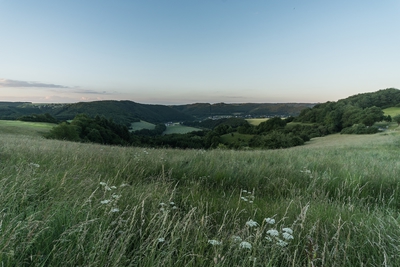 Landschaft_Aussicht_Wiedtal_96.jpg