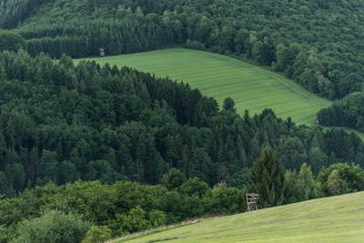 Landschaft_Aussicht_Wiedtal_98.jpg