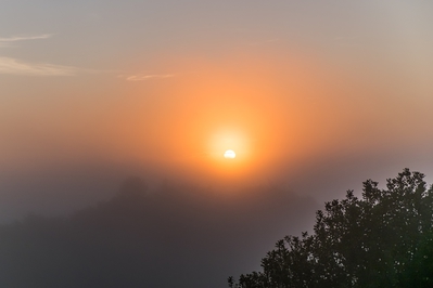 Natur_im_Wiedtal_22.jpg