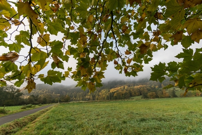 Natur_im_Wiedtal_25.jpg