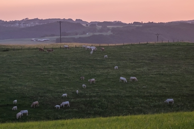 Natur_im_Wiedtal_28.jpg