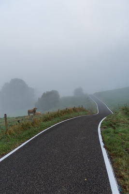 Natur_im_Wiedtal_30.jpg