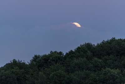 Natur_im_Wiedtal_45.jpg