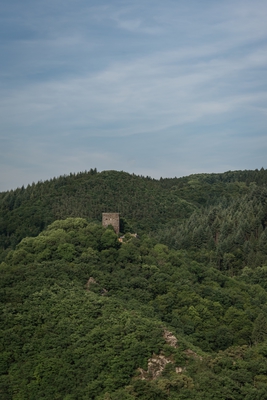 Neuerburg_im_Fockenbachtal_2.jpg