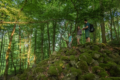 Wandern_im_Wiedtal_24.jpg