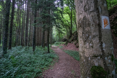 Wandern_im_Wiedtal_34.jpg