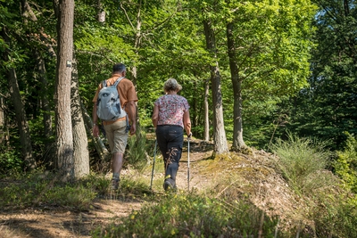 Wandern_im_Wiedtal_37.jpg