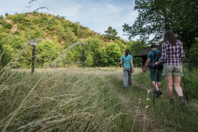 Wandern_im_Wiedtal_41.jpg