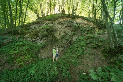 Wandern_im_Wiedtal_48.jpg