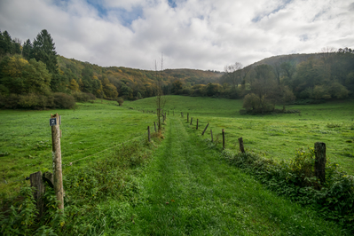 Wandern_im_Wiedtal_51.jpg