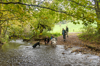 Wandern_im_Wiedtal_55.jpg