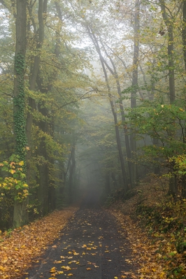 Wandern_im_Wiedtal_72.jpg